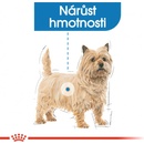 Royal Canin Mini Light Weight Care 1 kg