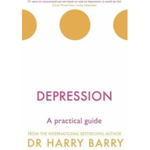 Depression | Harry Barry (ISBN: 9781409174493)