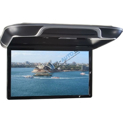 Carclever DS-133AA
