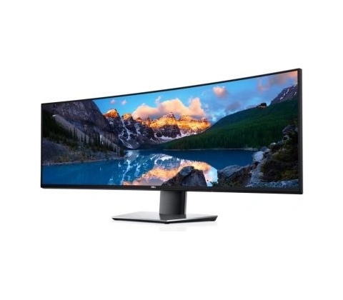 Dell U4924DW