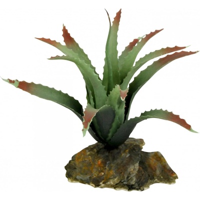 Lucky Reptile Tillandsia 17 cm