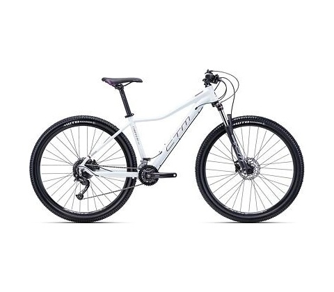 CTM Charisma 4.0 2022