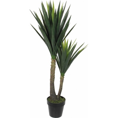 Juka - Yucca v květináči V120, P60 cm