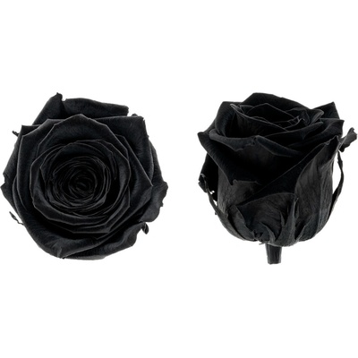 Hlavy ruží - mini 12 ks Black - čierna