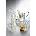 IVV Комплект купички IVV 400 ml (6 броя) (8818.1)
