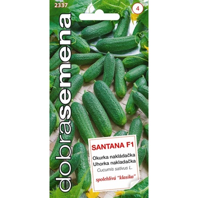 Dobrá semena Okurka nakládačka - Santana F1 hu 1,5g