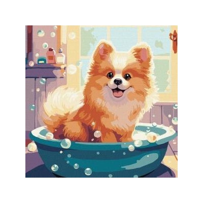 Ideyka Painting by numbers 40 x 40 cm KHO6543 Little fluffy AP0073