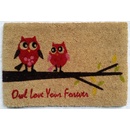 Home Elements Sova Ružová hnedá 40 x 60 cm