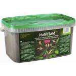 DIVERSA NutriPlant субстрат за аквариумни растения, 3л