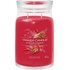 Yankee Candle Signature Sparkling Cinnamon 567 g