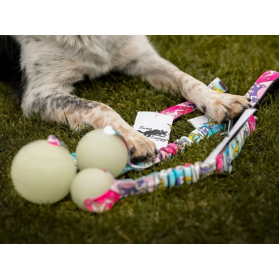 Sweet Energy.cz Chuckit! Max Glow bungee Agility komiks