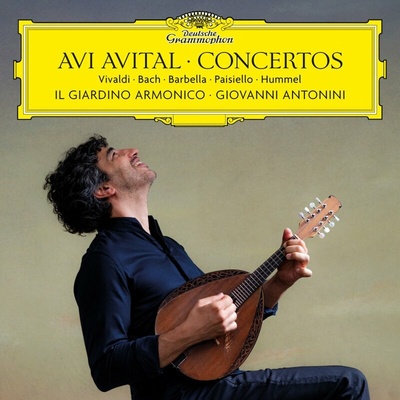 Avital Avi: Koncerty CD