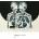 Bodysong LP