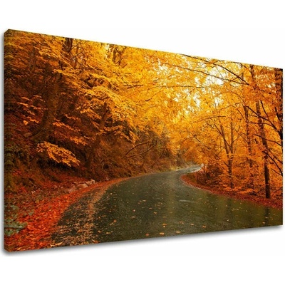 Obraz na stěnu STROMY - 100x150 cm