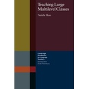 Teaching Large Multilevel Classes