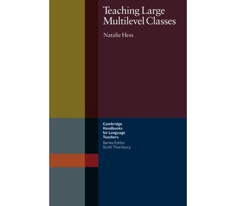 Teaching Large Multilevel Classes