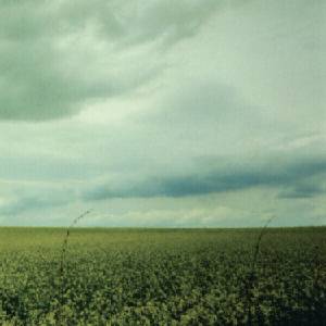 Antarctica - 23: 03 (45 RPM) (Limited Edition) (Coke Bottle Clear Coloured) (12'' EP) (0850045720766)