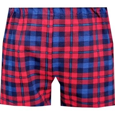 Foltýn dětské trenýrky DT145