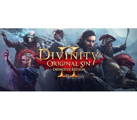 Divinity: Original Sin 2