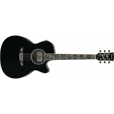 Ibanez AC391RCE