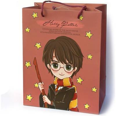 Dárková taška A5 Harry Potter - Harry