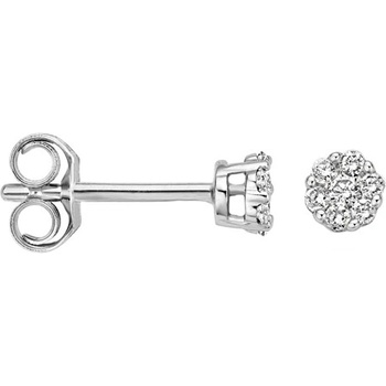 Blush Дамски златни обеци Blush с диаманти 7604WDI (7604WDI)