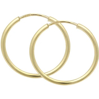 Soliter Náušnice zlaté kruhy 231 001 00278 1,3 cm
