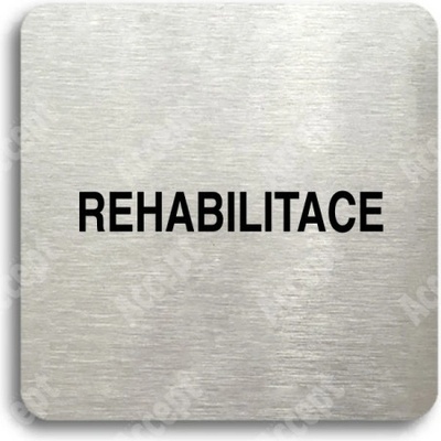 ACCEPT Piktogram rehabilitace - stříbrná tabulka - černý tisk bez rámečku