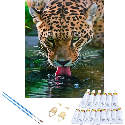 RealG RC-K-263 Malování podle čísel s rámem Leopardv