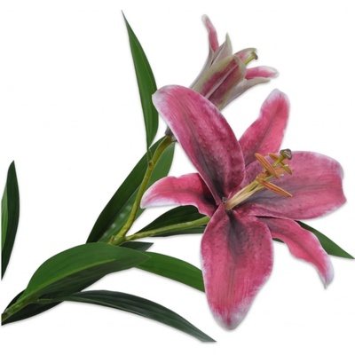 Lilie-lilium růžová V95 cm