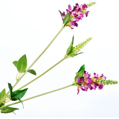 Hledík | Antirrhinum fialový 63 cm