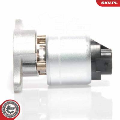 AGR - Ventil ESEN SKV 14SKV035 14SKV035