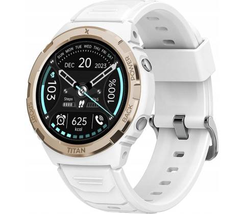 Maxcom FW100
