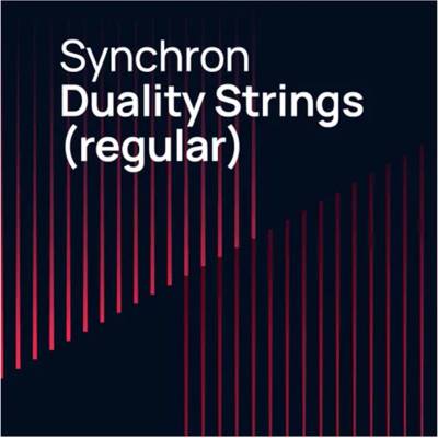 Vienna Symphonic Library Synchron Duality Strings (regular) (Std. Lib.)