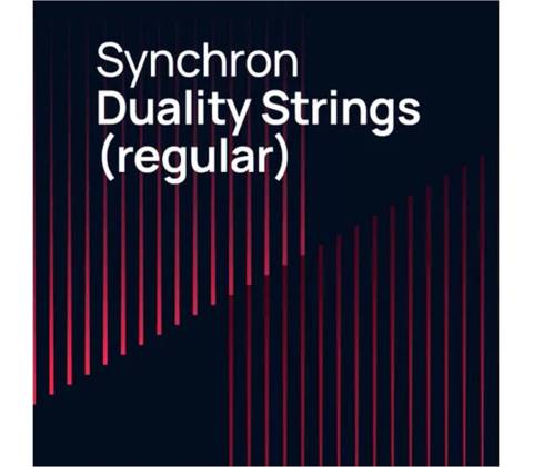 Vienna Symphonic Library Synchron Duality Strings (regular) (Std. Lib.)