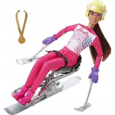 Barbie Zimní sporty Alpine Paranar