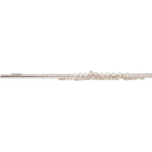 Bacio Instruments BFL-100S