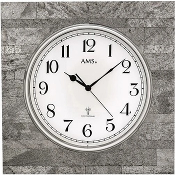 AMS 5568