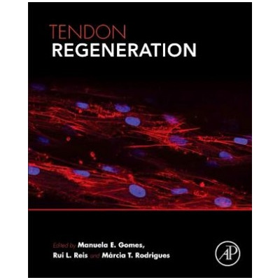 Tendon Regeneration
