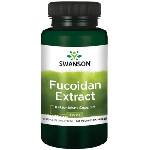 Swanson Fucoidan Extract, 500 mg, 60 капсули, Swanson (SWR085)