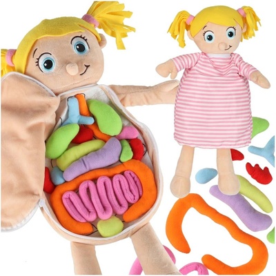 KIK KX2954 Edukačná anatomický model dievča
