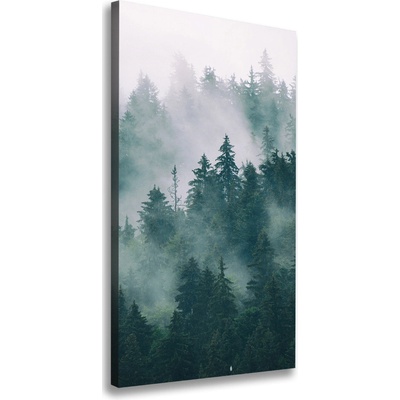 Vertikálny foto obraz na plátne Hmla nad lesom 50x100 cm