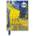 Flame Tree Publishing Van Gogh: Cafe Terrace (Foiled Blank Journal) | FLAME TREE STUDIO