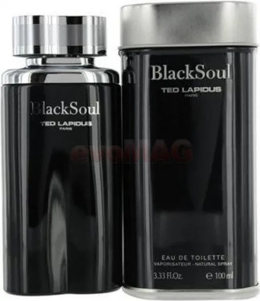 Ted Lapidus Black Soul EDT 100 ml