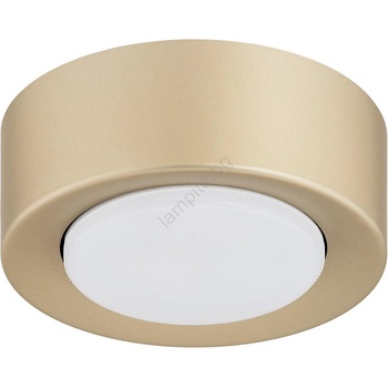 Argon 8903 - Плафон ELORA 1xGX53/7W/230V, диаметър 11 см, златист (AR8903)