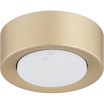 Argon 8903 - Плафон ELORA 1xGX53/7W/230V, диаметър 11 см, златист (AR8903)
