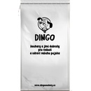 DINGO piškoty 2,5 kg