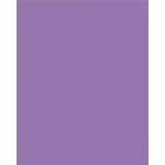 FOLIA Декоративен картон, двустранен, 50x70cm, 220 g, 10 листа, FOLIA, тъмнолилав 61221028 (6122/10 28)