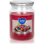 BISPOL Premium Line Chocolate - Cherry ароматна свещ 500ml