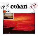 Cokin P003